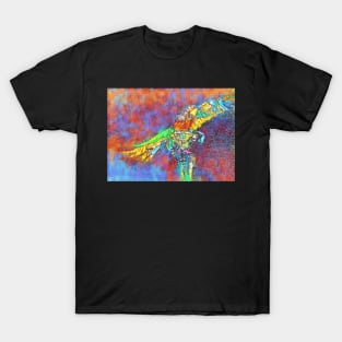 Macaw 2 T-Shirt